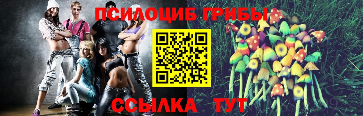 Богородск  Псилоцибиновые грибы Cubensis  Вход с VPN 